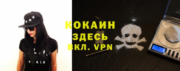 бошки Богданович