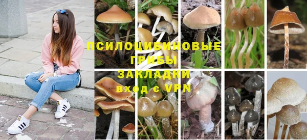 бошки Богданович