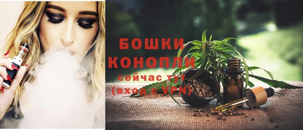 бошки Богданович