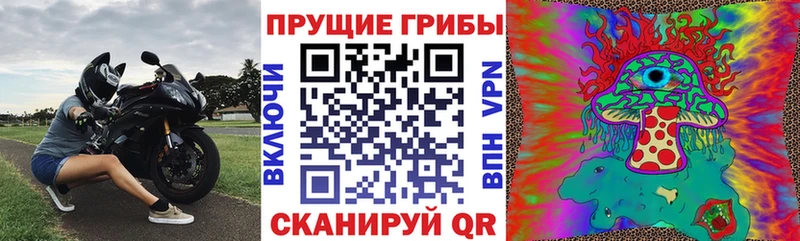 mega ссылка  Муравленко  Псилоцибиновые грибы Psilocybe 